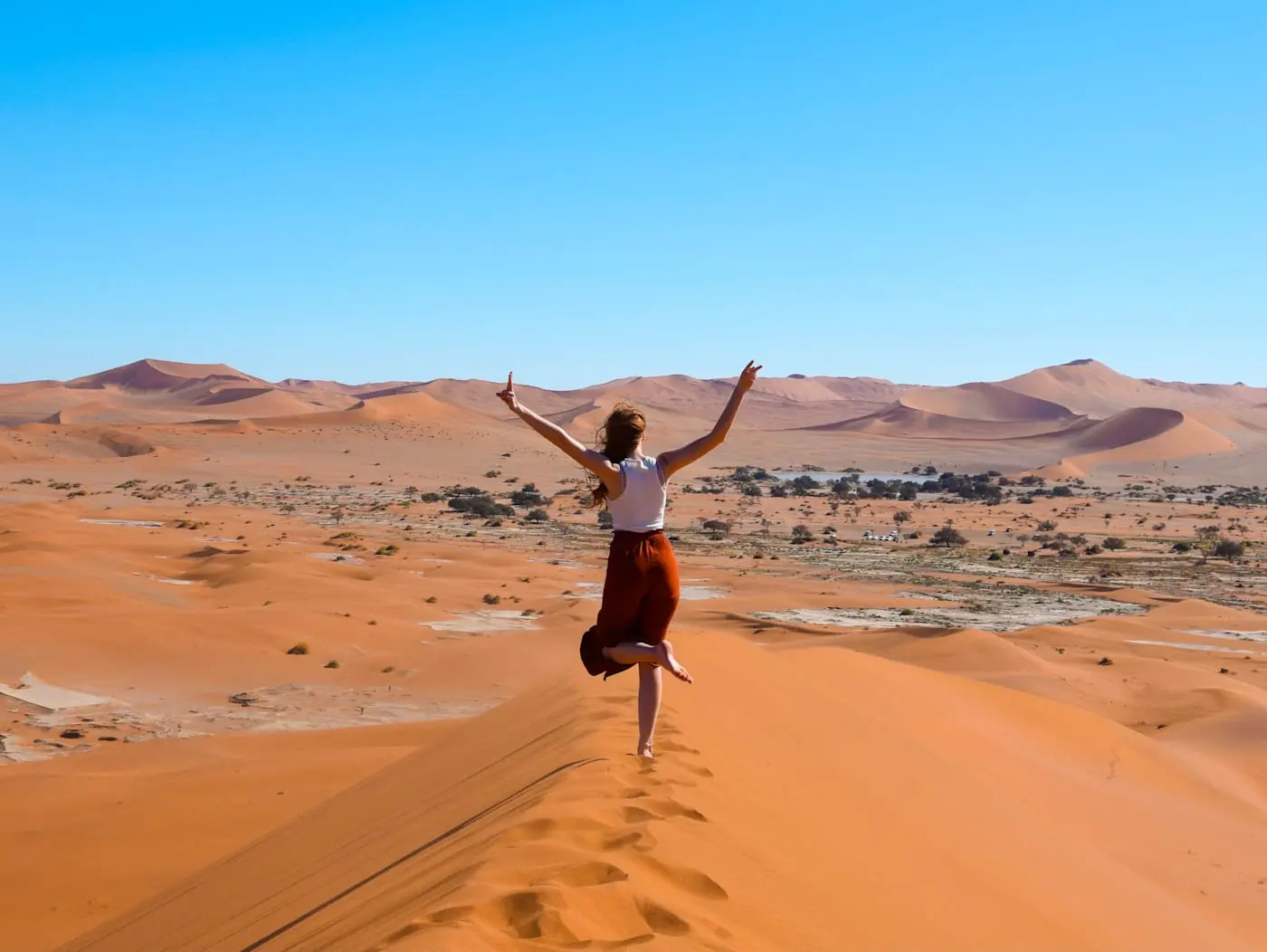 Namibia meets South Africa: Desert Road Trip and Wildlife Glamping