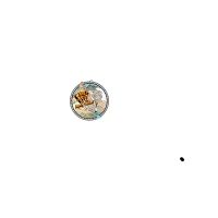 Garlic Gods Coupon Codes