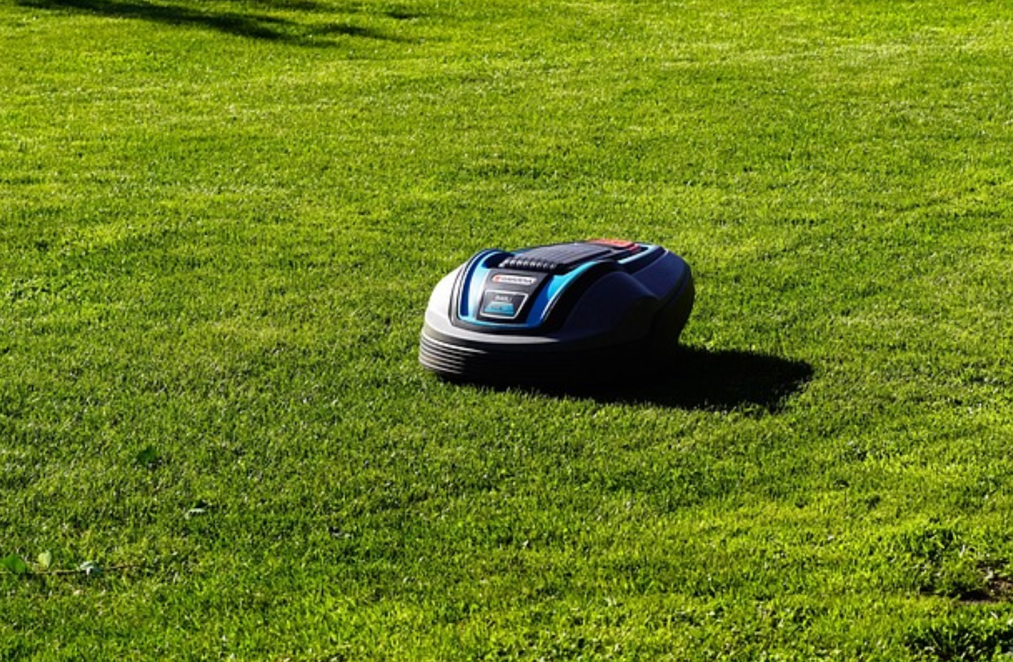 Mammotion: Revolutionizing Lawn Care with Smart Robotic Mowers