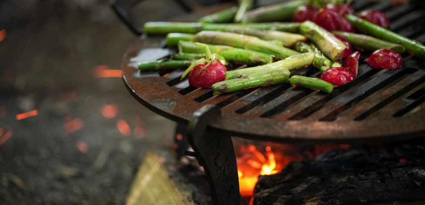 Grilla Grills