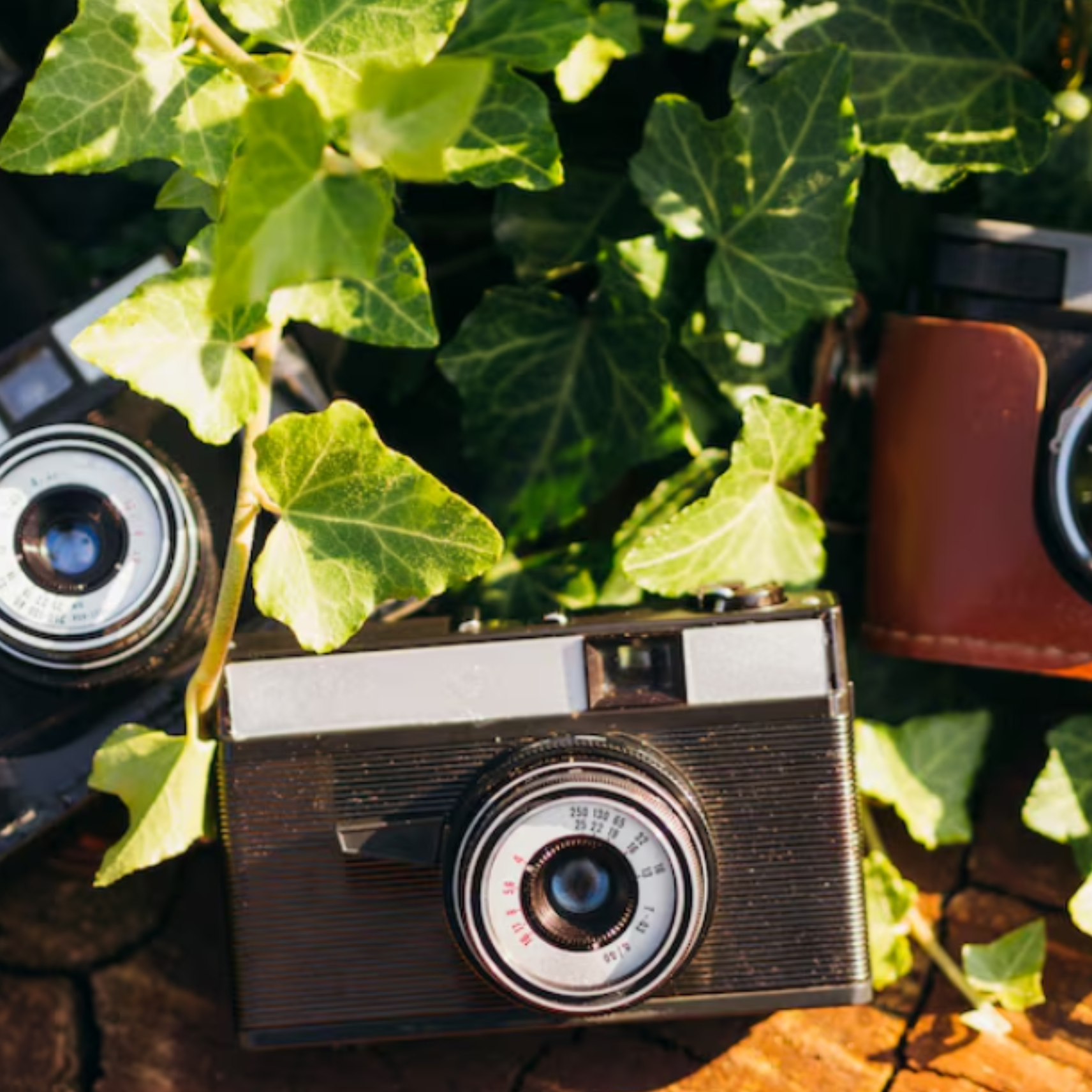 Retro‑Pia Camera Gear: Top Picks Review