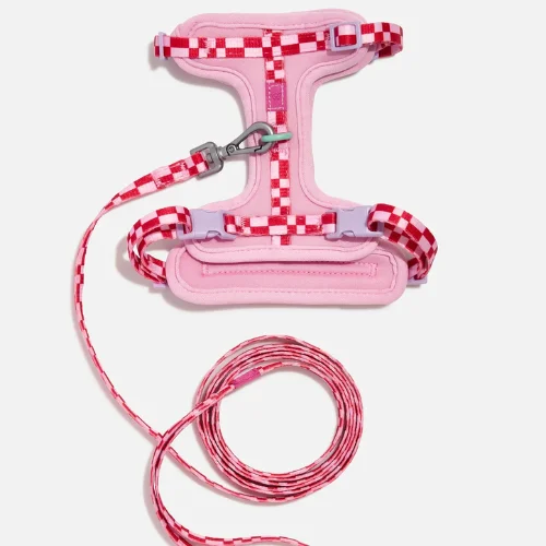 Wild One Cat Harness And Leash Kit