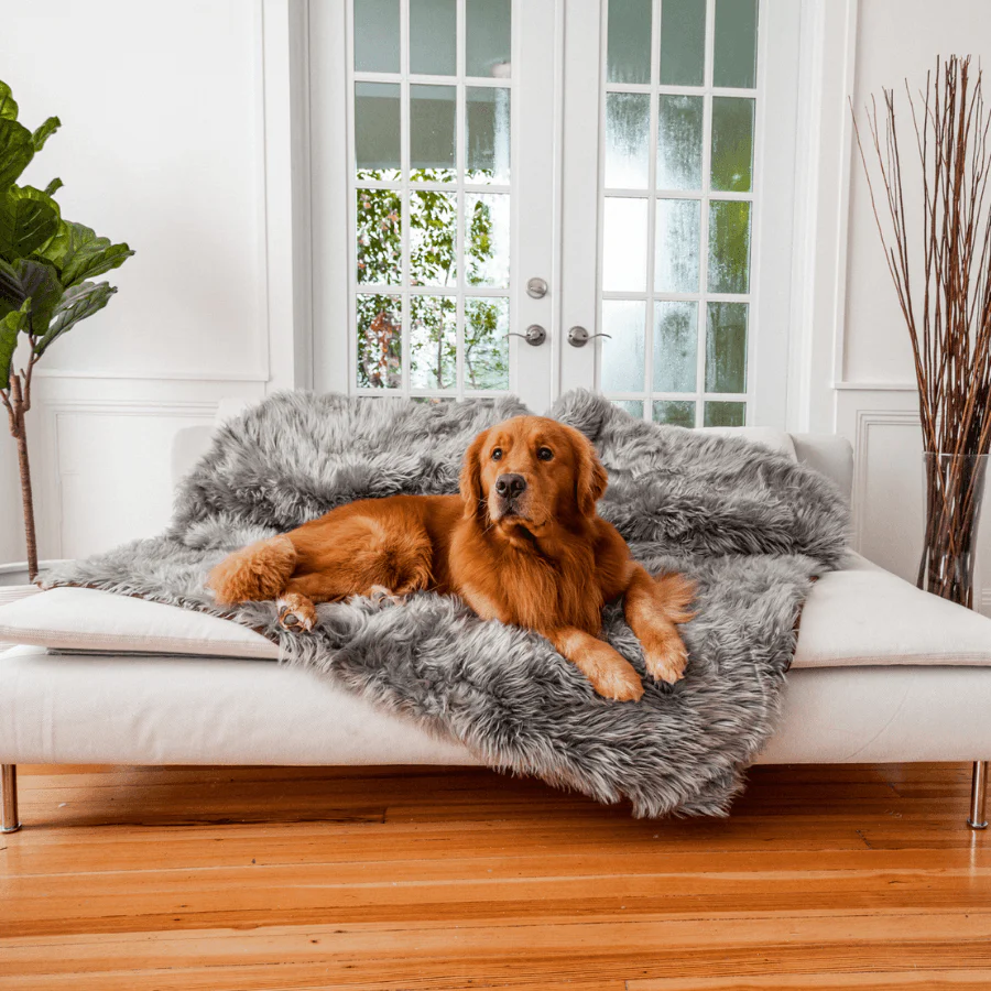Dog Cooling Bed