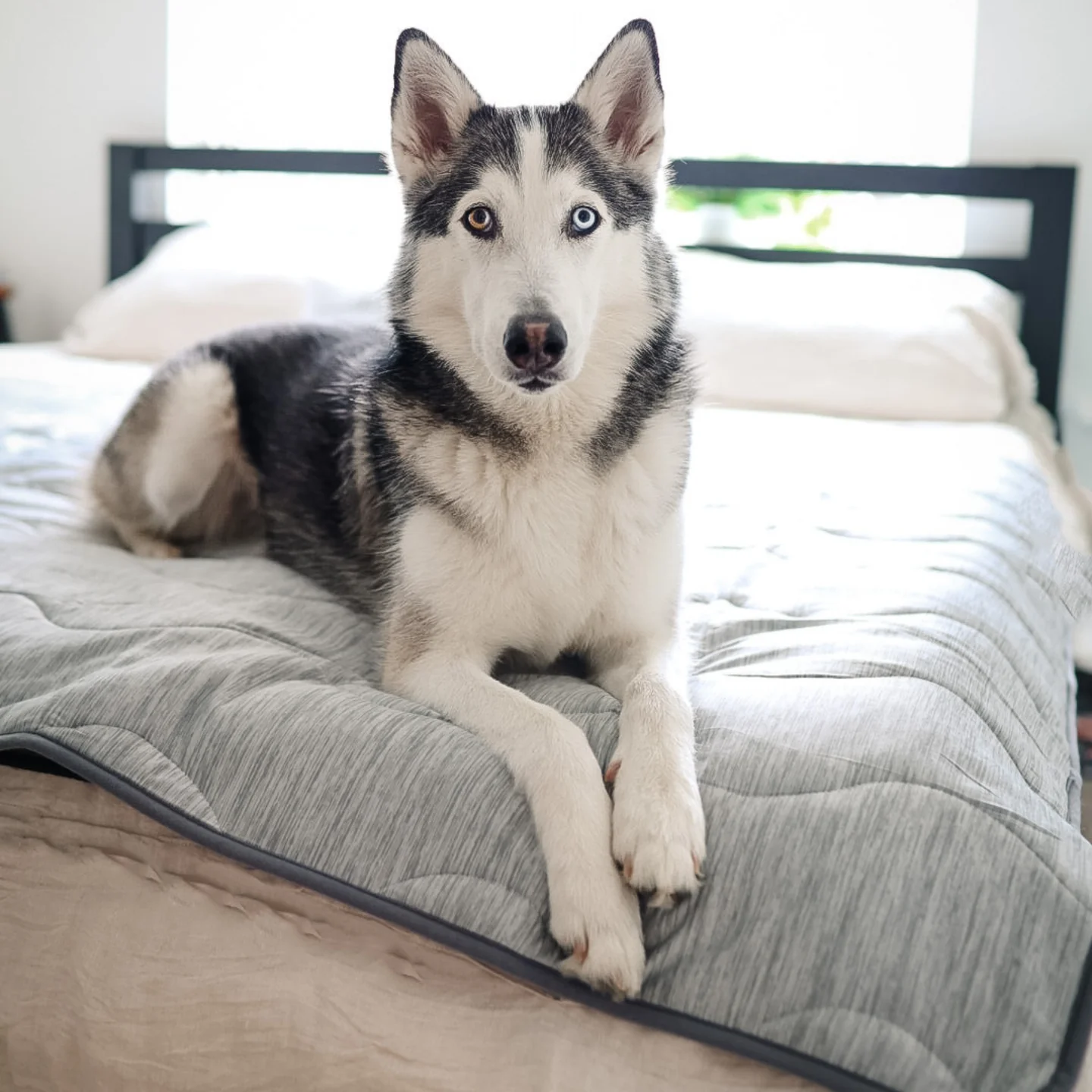 waterproof blanket