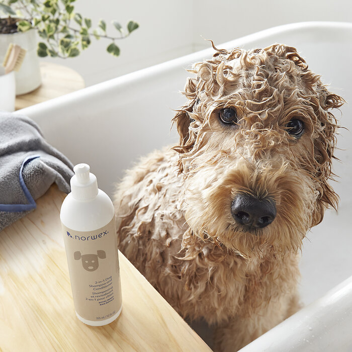 Dog shampoo