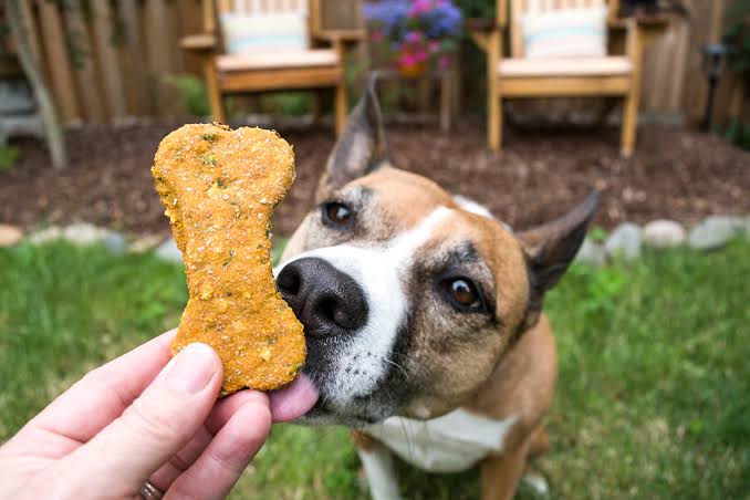 dog treat
