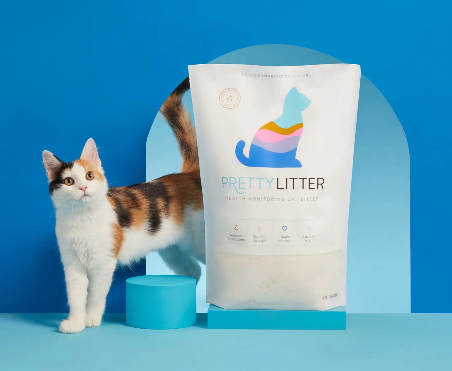 cat litter