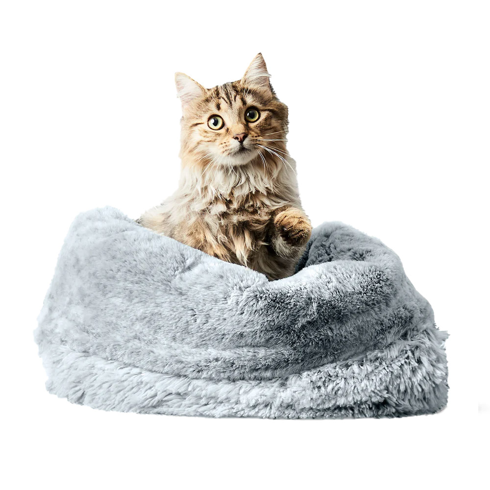cat bed