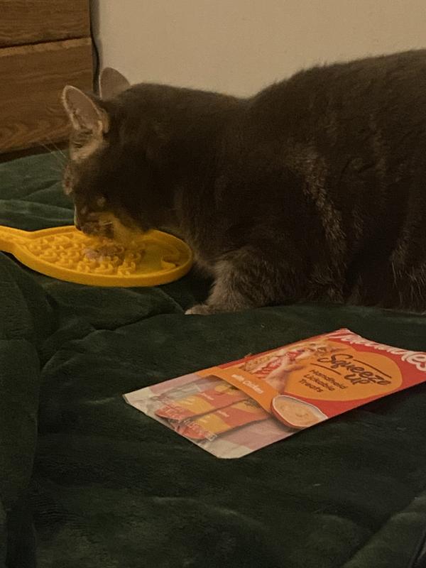 Silicone Slow Feeder Lick Mat for Cats