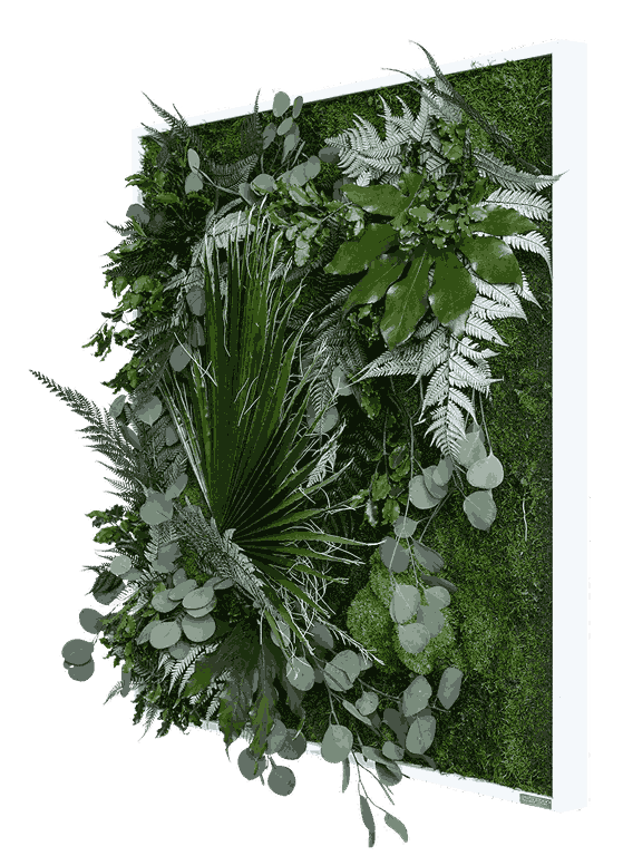 Jungle Squared Plant and Moss Wall Art (80cm)