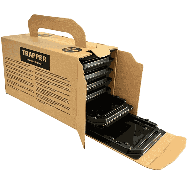 Mice and Rats Glue Board Trapper Rat