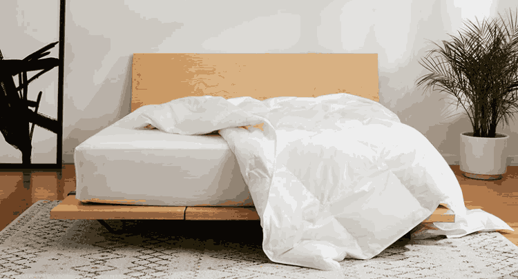 Best Brooklinen Products Down Comforter