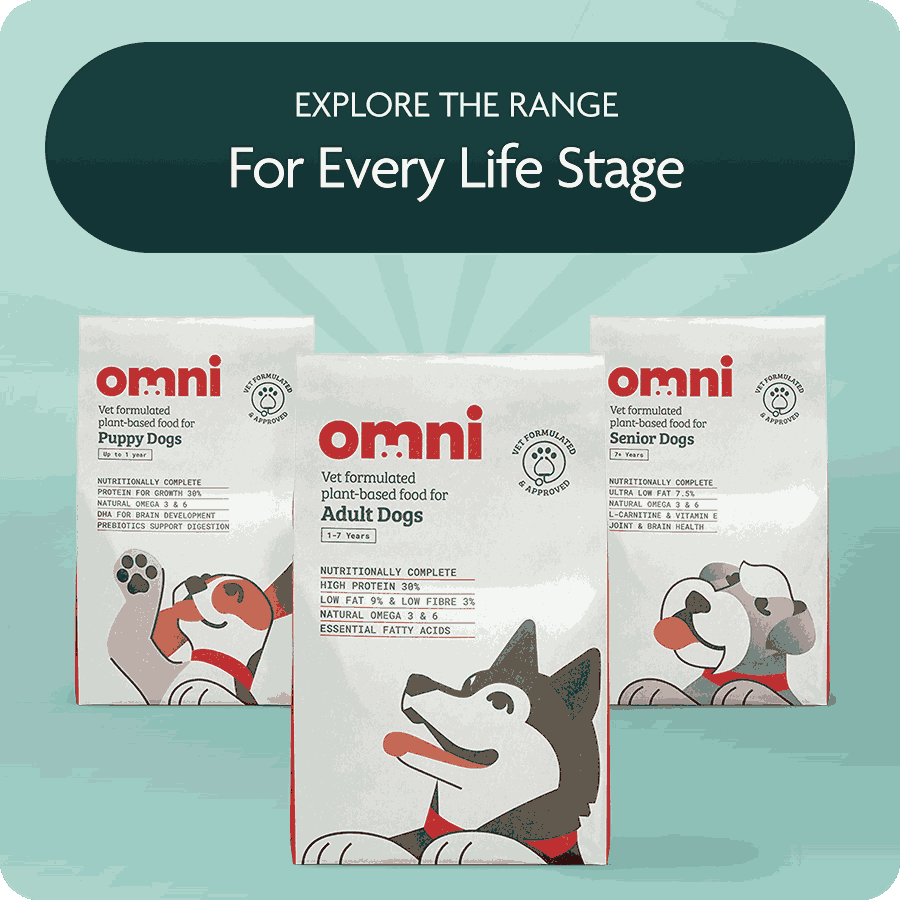 Hypoallergenic Dog Food