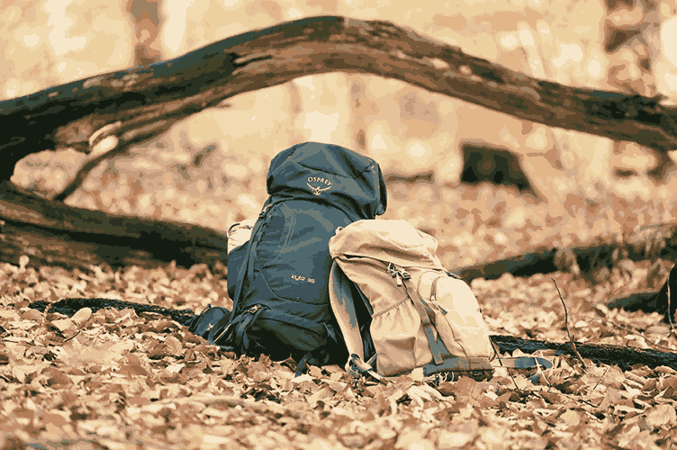 What to Pack: The Non-Negotiables