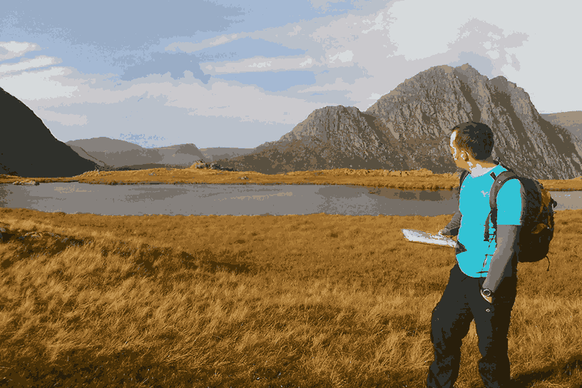 Learn From Others: What Real Walkers Wish They Knew