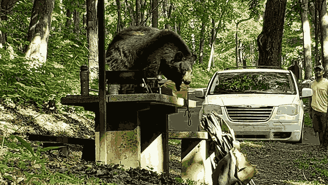 Smart Prevention Before the Trail Even Starts
